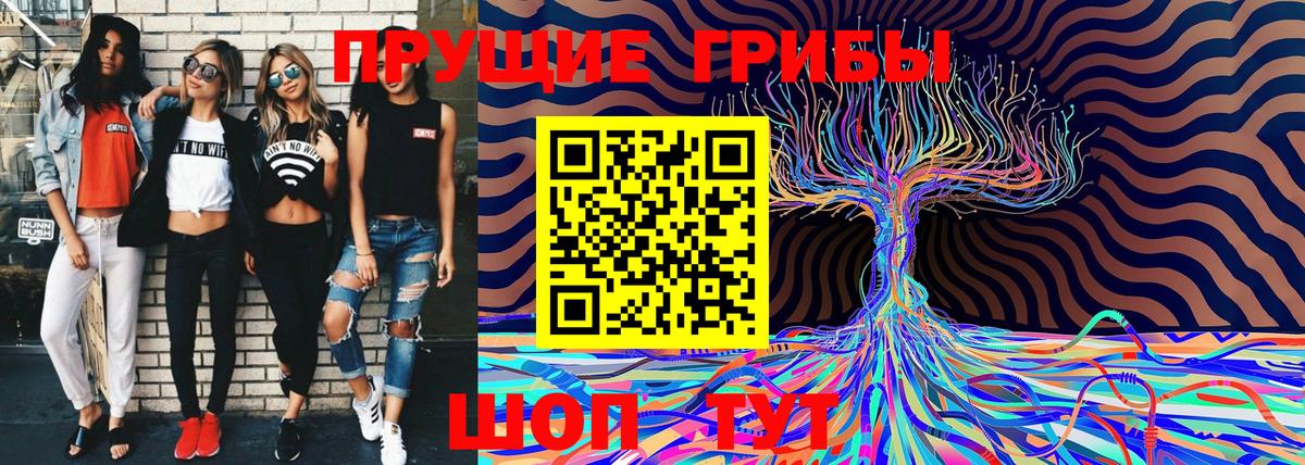 купить закладку  Вход с VPN  Вологда  Псилоцибиновые грибы мицелий 